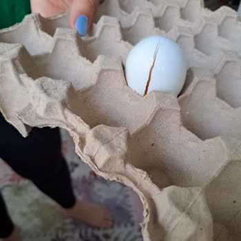 Profilo Sıfır Buzdolabı Bozuk Çıktı.