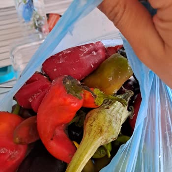 Profilo Sıfır Buzdolabı Bozuk Çıktı.