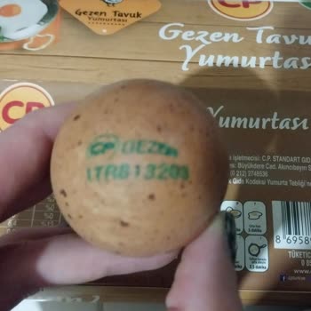 Getir'den Aldığım CP Gezen Tavuk Yumurtası Bayat Çıktı!