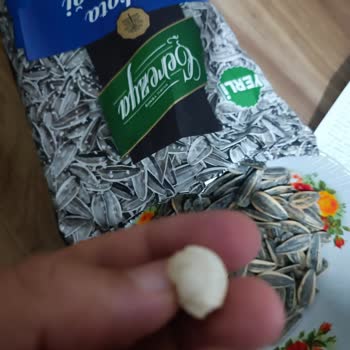 A101'den Alınan Çerezya Marka Çekirdekten Salyangoz Çıktı