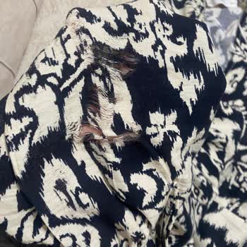 Mango Defolu Yırtık Ürün