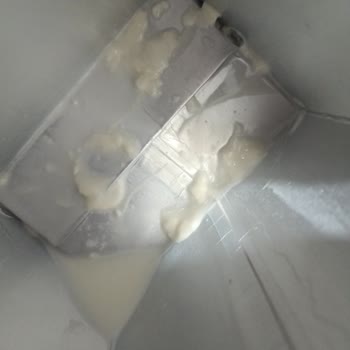 Burdan Süt Ve Süt Ürünleri Sut Kutularının Dibinden Tortular Çıkması