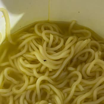 Dudomi Noodle Böcek Çıktı