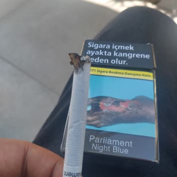 Philip Morris İçinde Tüm Odun Var