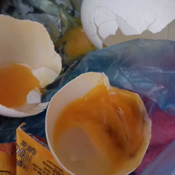 Ada Gross Bozulmuş Yumurta Satışı