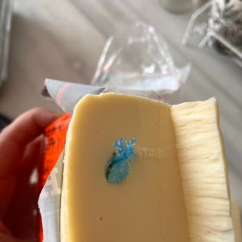 A101 De Satılan Ahir Marka Tost Peyniri İçerisinden Poşet Çıktı