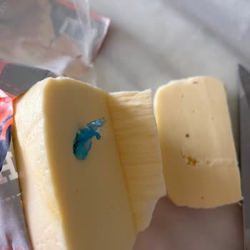 A101 De Satılan Ahir Marka Tost Peyniri İçerisinden Poşet Çıktı