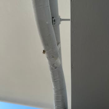 Samsung Yetkili Servis Montaj Faciası