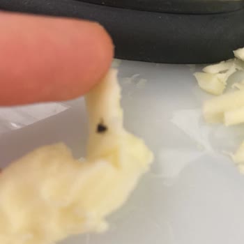 İçim Tost Peynirinden Böcek Çıkması
