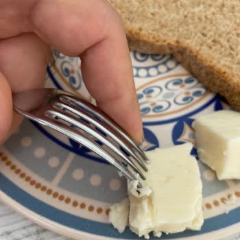 Altınkılıç Ezine Peynirinde Sinek Çıktı