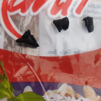 BİM'den Aldığım Kurutulmuş Mantıdan Plastik Parçası Çıktı