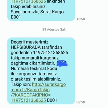 Sürat Kargo Gemlik Şubesi Elindeki Ürünümü 15 Gün Sonra Teslim Etti