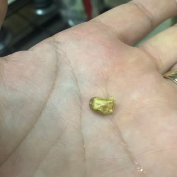 Alimoğlu Baklava A******* Baklavadan Cisim Çıktı