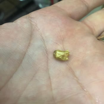 Alimoğlu Baklava A******* Baklavadan Cisim Çıktı