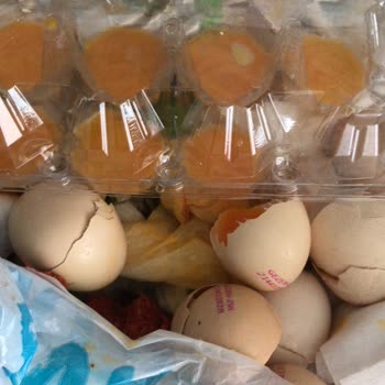 A101 Gezen Tavuk Yumurtası Bozuk Çıktı