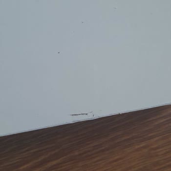 Larem Mobilya (Buca) Ayıplı Ürün Satışı Ve İade Almamaları