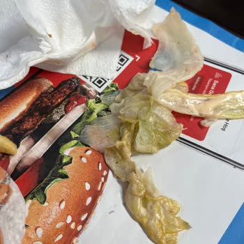 Burger KİNG'in Kötü Yemek