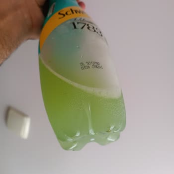 Schweppes Dipte Bitter Lemon Küf, Yosun