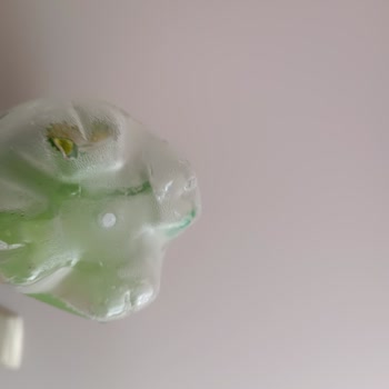 Schweppes Dipte Bitter Lemon Küf, Yosun