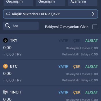 Bitexen Uygulamasında Param Silinmiş