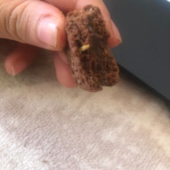 Saklıköy Çiftliği Saklıköy Bisküvinin İçinde İğne Gibi Saman Çıktı