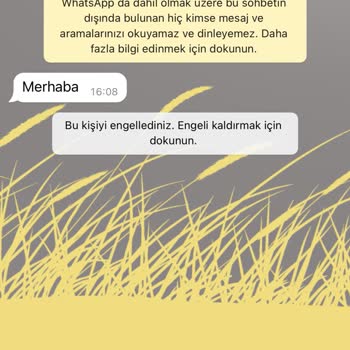 WhatsApp Endonezya Kodlu Bilinmeyen Numaradan Gelen Mesaj