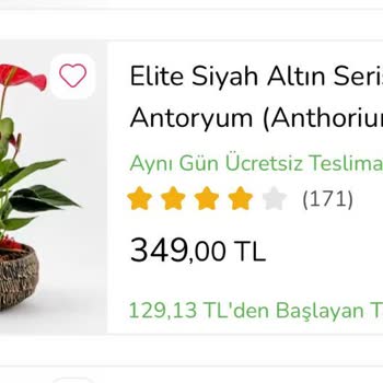 ÇiçekSepeti Çiçek Siparişinin Fotoğraftaki İle Alakasız Gelmesi