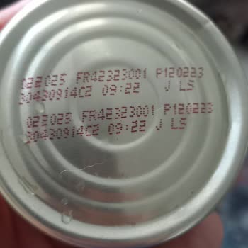 Purina Felix Gourmet Kedi Yaş Maması Kedilerimi Hasta Etti