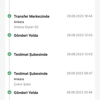 Trendyol (Ata Elektronik) Şehir İçi Teslimatı 2 Haftada Yapamadı