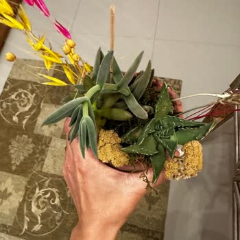 Taze Çiçek (tazecicek.com) Fotoğraf Gerçeği Yansıtmamakta
