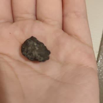 Amigo Tuzsuz Çekirdekten 2 Tane Taş Çıktı