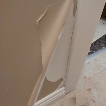 Polisan Boya Değil Duvar Kağıdı