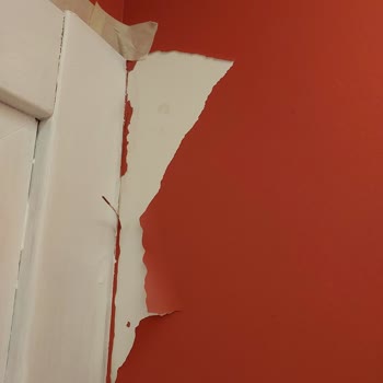 Polisan Boya Değil Duvar Kağıdı