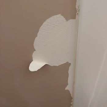 Polisan Boya Değil Duvar Kağıdı