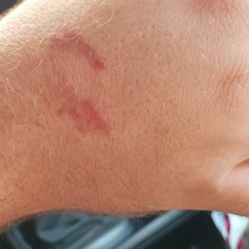 Şahinbey Döner Yemek Ve Personel