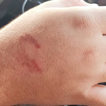 Şahinbey Döner Yemek Ve Personel