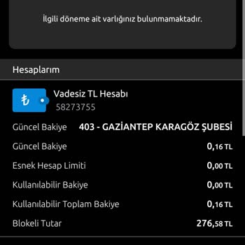 Yapı Kredi Bankası Sebepsiz Bloke Konulan Yatırım Hissem