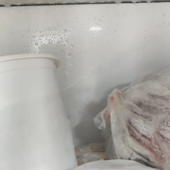 Profilo Buzdolabı Arızası Servis Problemi