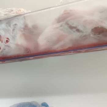 Profilo Buzdolabı Arızası Servis Problemi