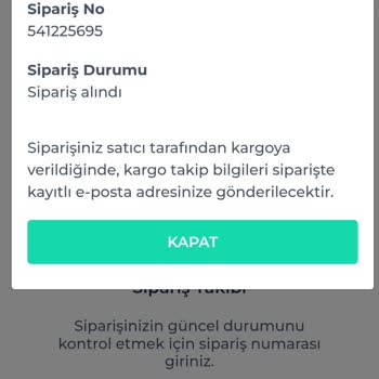 Shinyforce Kargo Sorunu