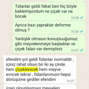 Fidancidan.com FİDANCI'dan Aldığım Mandalina Ve Limonlar Yapraklarla Geldi