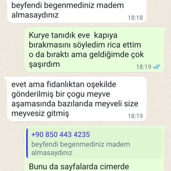 Fidancidan.com FİDANCI'dan Aldığım Mandalina Ve Limonlar Yapraklarla Geldi