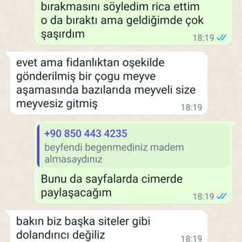 Fidancidan.com FİDANCI'dan Aldığım Mandalina Ve Limonlar Yapraklarla Geldi