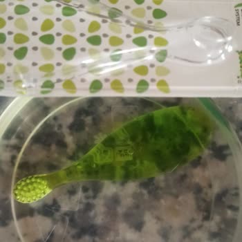 Rocs Bebek Diş Fırçası Dökülüyor