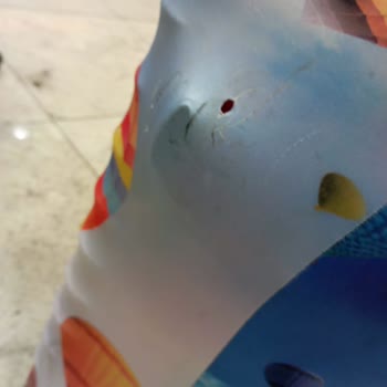 THY Bavullarım Kırık Geldi