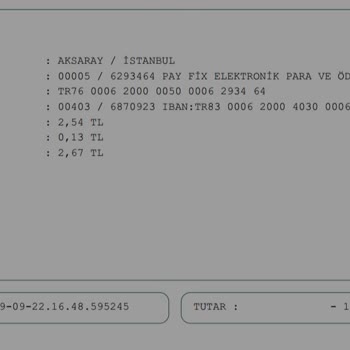PayFix Şüpheli İşlem Bilgim Dışında Para Gönderildi