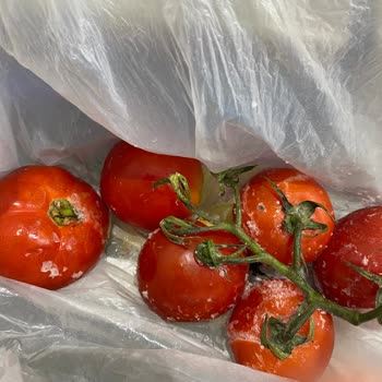 Profilo Marka Buzdolabıyla İlgili Şikayetim