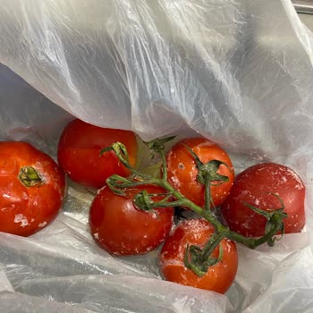 Profilo Marka Buzdolabıyla İlgili Şikayetim