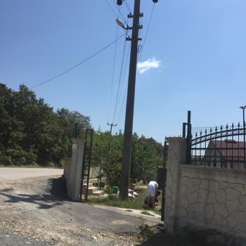 SEDAŞ Tarlamda Olan Elektrik Direğinin Kaldırılması