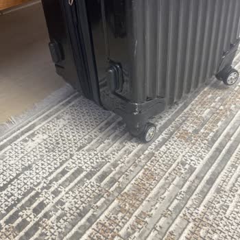 Pegasus Hasarlı Bagaj Mağduriyeti